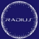 Logo of RADIUS TRADING LLC, U.A.E