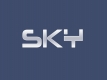 Logo of LTD SKYNET, Georgia